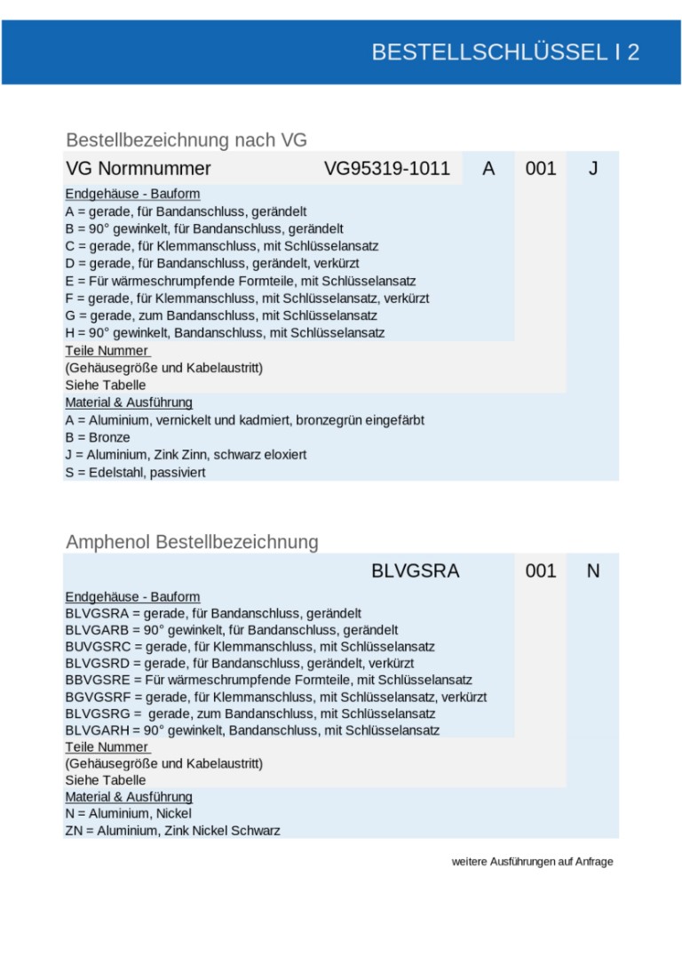 VG95319-1011 / BVG | Bestellschlüssel V05042022